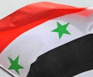 пазл Флаг Сирии